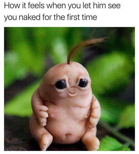 naked guy meme|Naked Men GIFs